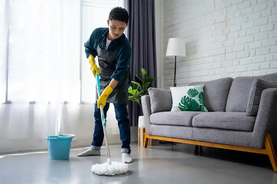 Reliable Home Cleaner in San Pablo, CA Reliable Home Cleaner in San Pablo, CA